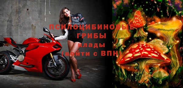 ECSTASY Балахна